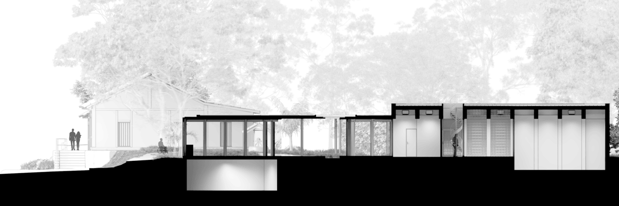 Longitudinal Section